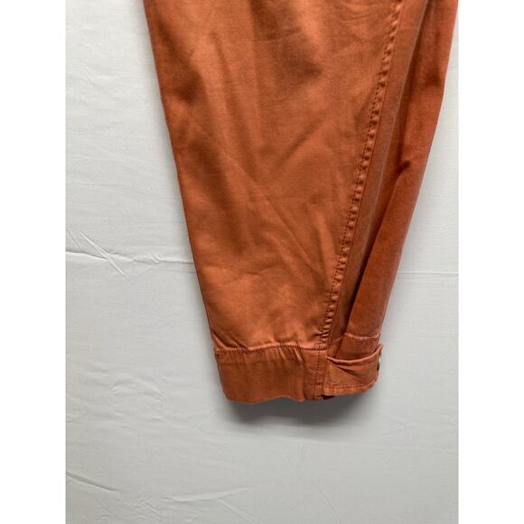 Liverpool Los Angeles Orange Barrel Cargo Pants Size 0/25 Terracotta Stretch - Picture 2 of 10